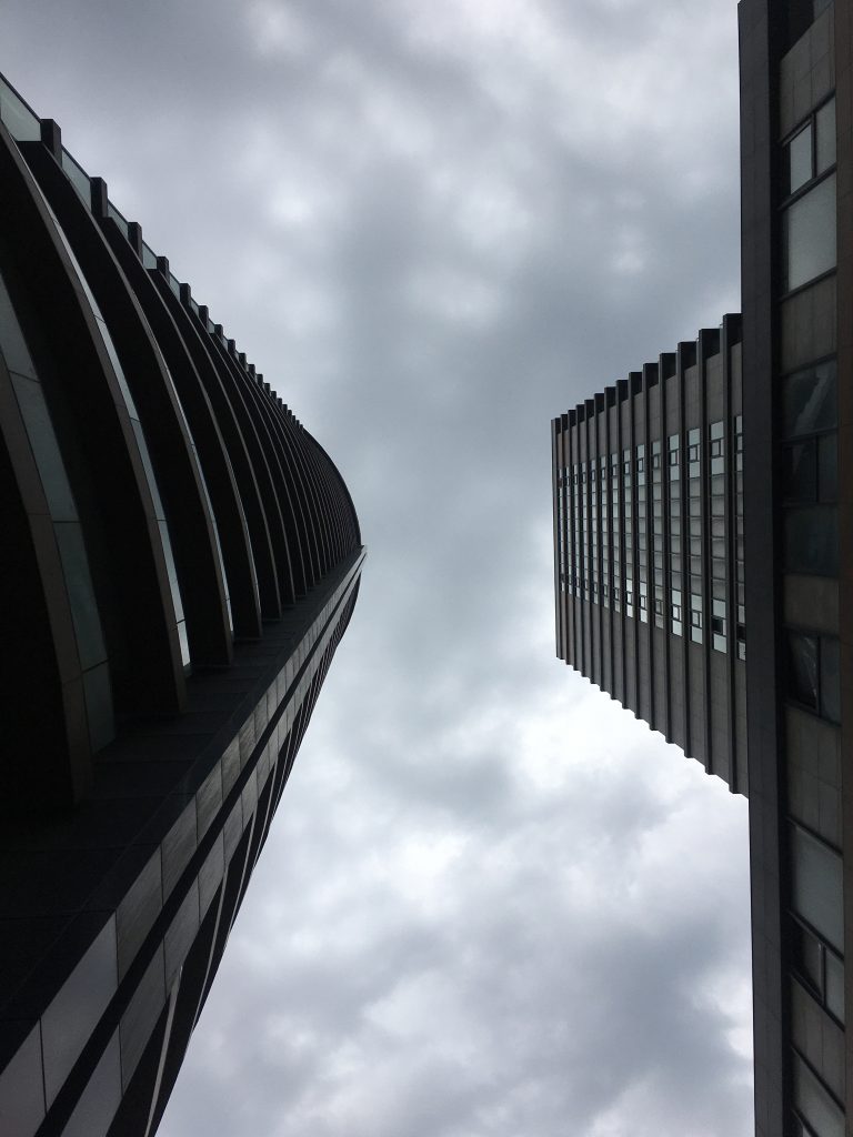 Fortis Sinanli sajad 7 768x1024