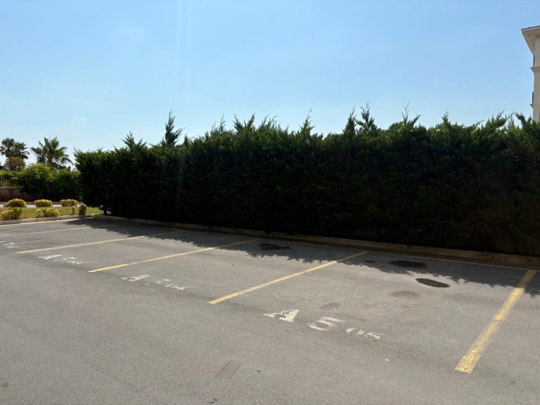 WhatsApp Image 2025 08 20 at 10.32.24 2 768x576