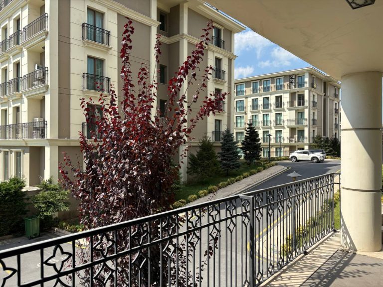 photo 2025 08 26 12 50 02 768x576